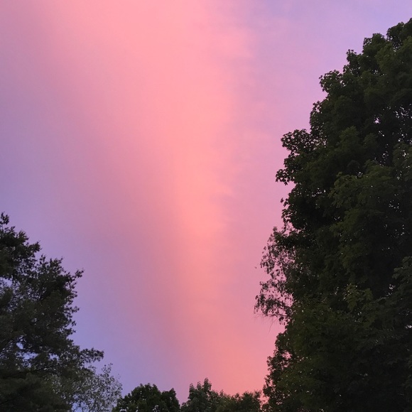 Meet your Posher, Jayne - Picture 2 of 2